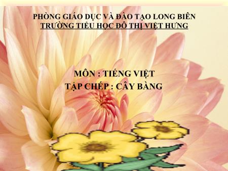 Bài giảng Chính tả Lớp 1 - Tuần 33: Cây bàng - Trường Tiểu học Đô Thị Việt Hưng
