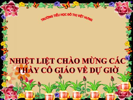 Bài giảng Chính tả Lớp 4 - Người tìm đường lên các vì sao
