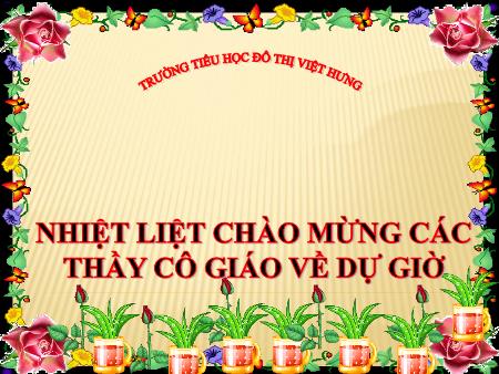 Bài giảng Chính tả Lớp 4 - Người viết truyện thật thà - Trường Tiểu học Đô thị Việt Hưng