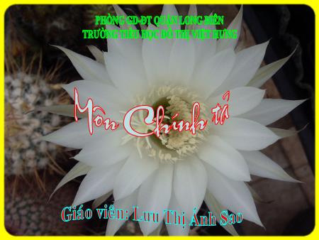 Bài giảng Chính tả Lớp 5 - Tuần 25: Ai là thủy tổ loài người - Lưu Thị Ánh Sao