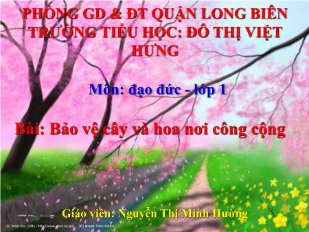 Bài giảng Đạo đức Lớp 1 - Bảo vệ cây và hoa nơi công cộng - Nguyễn Thị Minh Hường