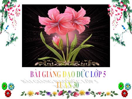 Bài giảng Đạo đức Lớp 5 - Tuần 30: Bảo vệ tài nguyên thiên nhiên