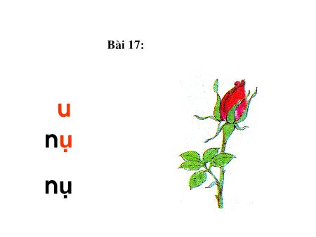 Bài giảng Học vần Lớp 1 - Bài 17: u, ư
