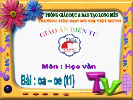 Bài giảng Học vần Lớp 1 - Bài 91: oa, oe (Tiết 1) - Trường Tiểu học Đô Thị Việt Hưng