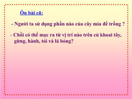 Bài giảng Khoa học Khối 5 - Sự sinh sản của động vật Bài giảng Khoa học Khối 5 - Sự sinh sản của động vật