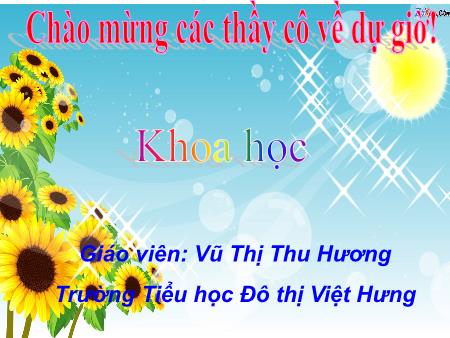Bài giảng Khoa học Lớp 5 - Cao su - Vũ Thị Thu Hương