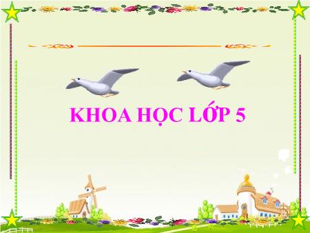 Bài giảng Khoa học Lớp 5 - Cây con có thể mọc lên từ một số bộ phận của cây mẹ Bài giảng Khoa học Lớp 5 - Cây con có thể mọc lên từ một số bộ phận của cây mẹ