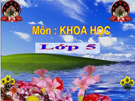 Bài giảng Khoa học Lớp 5 - Năng lượng mặt trời
