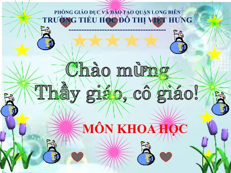 Bài giảng Khoa học Lớp 5 - Phòng bệnh sốt rét - Trường Tiểu học Đô thị Việt Hưng