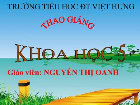 Bài giảng Khoa học Lớp 5 - Phòng bệnh sốt xuất huyết - Nguyễn Thị Oanh