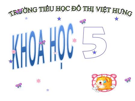 Bài giảng Khoa học Lớp 5 - Phòng bệnh viêm não - Trường Tiểu học Đô thị Việt Hưng