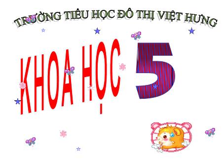 Bài giảng Khoa học Lớp 5 - Phòng tránh bị xâm hại - Trường Tiểu học Đô thị Việt Hưng