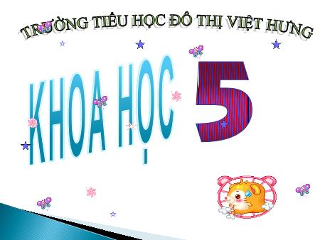Bài giảng Khoa học Lớp 5 - Phòng tránh HIV/AIDS - Trường Tiểu học Đô thị Việt Hưng