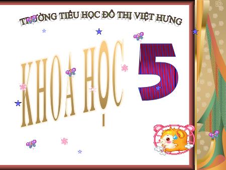 Bài giảng Khoa học Lớp 5 - Phòng tránh tai nạn giao thông đường bộ - Trường Tiểu học Đô thị Việt Hưng Bài giảng Khoa học Lớp 5 - Phòng tránh tai nạn giao thông đường bộ - Trường Tiểu học Đô thị Việt Hưng