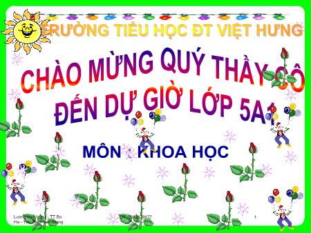 Bài giảng Khoa học Lớp 5 - Phòng tránh tai nạn giao thông đường bộ - Nguyễn Thị Oanh