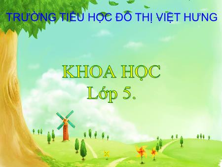 Bài giảng Khoa học Lớp 5 - Sử dụng năng lượng gió và năng lượng nước chảy - Trường Tiểu học Đô thị Việt Hưng Bài giảng Khoa học Lớp 5 - Sử dụng năng lượng gió và năng lượng nước chảy - Trường Tiểu học Đô thị Việt Hưng