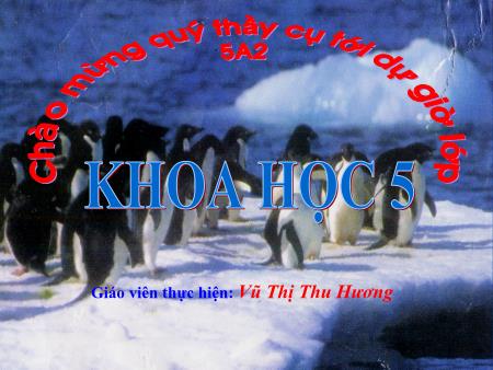 Bài giảng Khoa học Lớp 5 - Sự sinh sản của thú - Vũ Thị Thu Hương Bài giảng Khoa học Lớp 5 - Sự sinh sản của thú - Vũ Thị Thu Hương