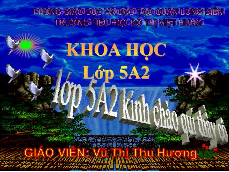 Bài giảng Khoa học Lớp 5 - Tơ sợi - Vũ Thị Thu Hương