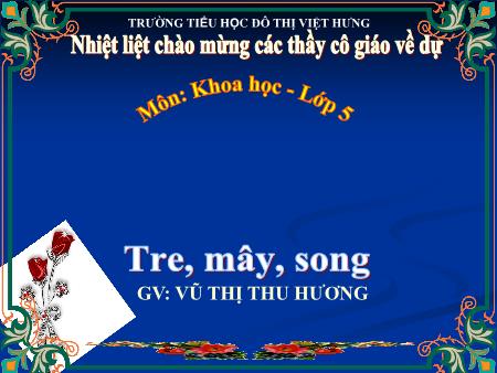 Bài giảng Khoa học Lớp 5 - Tre, mây, song - Vũ Thị Thu Hương Bài giảng Khoa học Lớp 5 - Tre, mây, song - Vũ Thị Thu Hương
