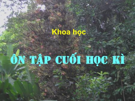 Bài giảng Khoa học Lớp 5 - Tuần 17: Ôn tập cuối kì I (2 tiết) - Vũ Thị Thu Hương Bài giảng Khoa học Lớp 5 - Tuần 17: Ôn tập cuối kì I (2 tiết) - Vũ Thị Thu Hương