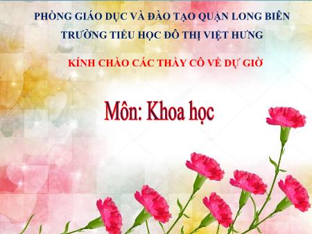 Bài giảng Khoa học Lớp 5 - Tuần 18: Hỗn hợp - Trường Tiểu học Đô thị Việt Hưng