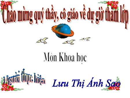 Bài giảng Khoa học Lớp 5 - Tuần 26: Cơ quan sinh sản của thực vật có hoa - Lưu Thị Ánh Sao