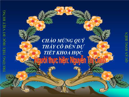 Bài giảng Khoa học Lớp 5 - Tuần 7: Phòng bệnh viêm não - Nguyễn Thị Oanh Bài giảng Khoa học Lớp 5 - Tuần 7: Phòng bệnh viêm não - Nguyễn Thị Oanh