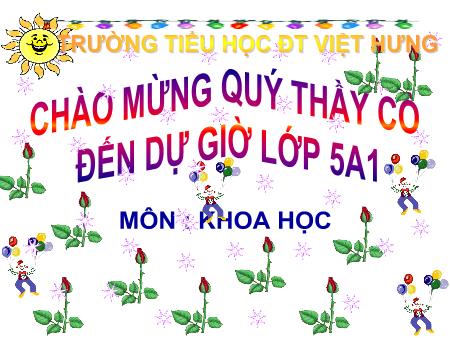 Bài giảng Khoa học Lớp 5 - Tuần 8: Phòng bệnh viêm gan A - Trường Tiểu học Đô thị Việt Hưng