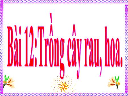 Bài giảng Kĩ thuật Lớp 4 - Bài 12: Trồng cây rau, hoa - Trường Tiểu học Đô thị Việt Hưng