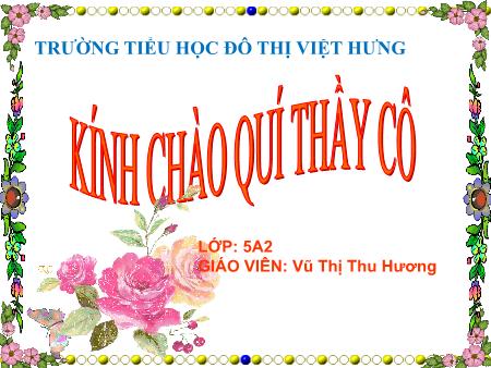 Bài giảng Luyện từ và câu Lớp 5 - Luyện tập về từ đồng nghĩa - Vũ Thị Thu Hương