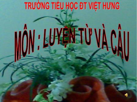 Bài giảng Luyện từ và câu Lớp 5 - Từ đồng âm - Trường Tiểu học Đô thị Việt Hưng
