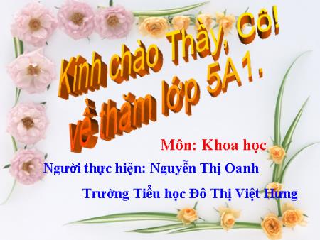 Bài giảng Luyện từ và câu Lớp 5 - Tuần 8: Mở rộng vốn từ Thiên nhiên - Nguyễn Thị Oanh