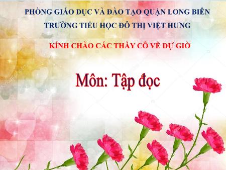 Bài giảng Tập đọc Lớp 5 - Người công dân số một - Trường Tiểu học Đô thị Việt Hưng