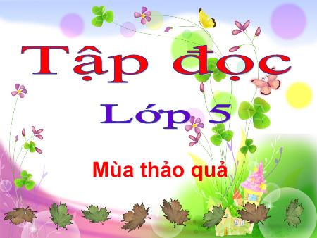 Bài giảng Tập đọc Lớp 5 - Tuần 12: Mùa thảo quả