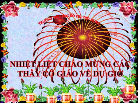 Bài giảng Tập đọc Lớp 5 - Tuần 13: Trồng rừng ngập mặn