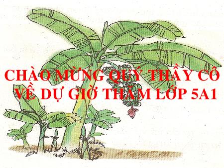 Bài giảng Tập làm văn Lớp 5 - Ôn tập về tả cây cối