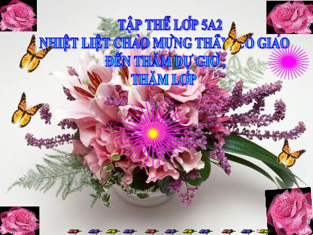 Bài giảng Toán Khối 5 - Giải toán về tỉ số phần trăm (Tiếp theo) - Trường Tiểu học Đô thị Việt Hưng