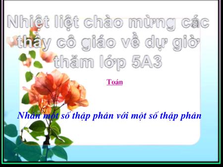 Bài giảng Toán Lớp 5 - Nhân một số thập phân với một số thập phân