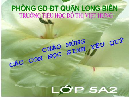 Bài giảng Toán Lớp 5 - Tuần 3: Luyện tập - Trường Tiểu học Đô thị Việt Hưng