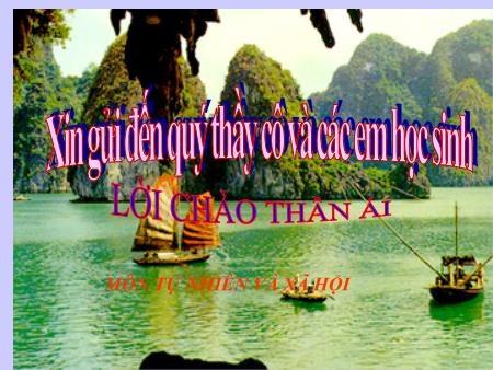 Bài giảng Tự nhiên và Xã hội Lớp 1 - Bài 10: Ôn tập Con người và sức khỏe