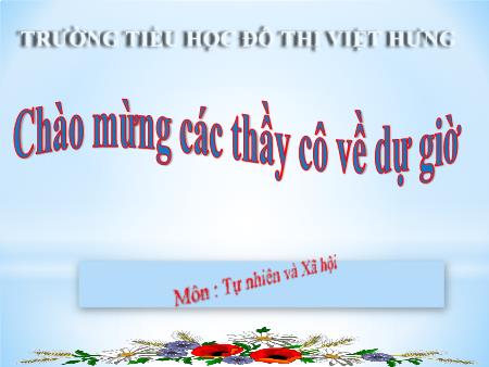 Bài giảng Tự nhiên và Xã hội Lớp 1 - Bài 19: Cuộc sống xung quanh (Tiếp theo) - Trường Tiểu học Đô thị Việt Hưng