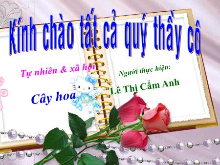 Bài giảng Tự nhiên và Xã hội Lớp 1 - Bài 23: Cây hoa - Lê Thị Cẩm Anh