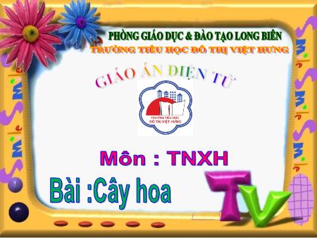 Bài giảng Tự nhiên và Xã hội Lớp 1 - Bài 23: Cây hoa - Trường Tiểu học Đô thị Việt Hưng