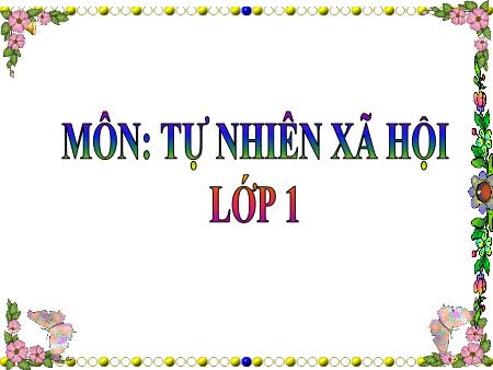 Bài giảng Tự nhiên và Xã hội Lớp 1 - Bài 31: Thực hành Quan sát bầu trời