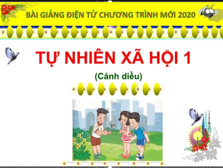 Bài giảng Tự nhiên và Xã hội Lớp 1 - Cánh diều - Bài 6: Thực hành Quan sát cuộc sống xung quanh trường (Tiết 1)
