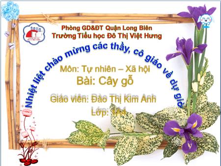 Bài giảng Tự nhiên và Xã hội Lớp 1 - Cây gỗ - Đào Thị Kim Anh