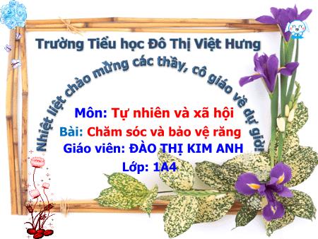Bài giảng Tự nhiên và Xã hội Lớp 1 - Chăm sóc và bảo vệ răng - Đào Thị Kim Anh