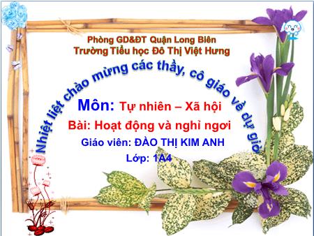 Bài giảng Tự nhiên và Xã hội Lớp 1 - Hoạt động và nghỉ ngơi - Đào Thị Kim Anh