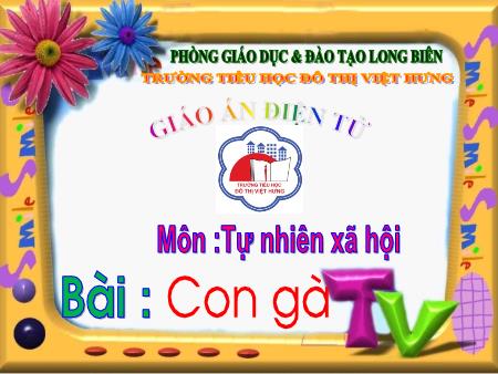 Bài giảng Tự nhiên và Xã hội Lớp 1 - Tuần 26: Con gà - Trường Tiểu học Đô thị Việt Hưng