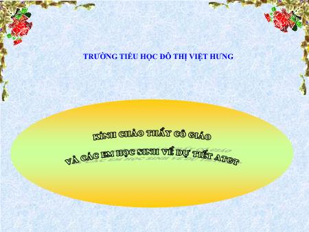 Bài giảng An toàn giao thông Lớp 3 - Giao thông đường bộ - Trường TH Đô Thị Việt Hưng